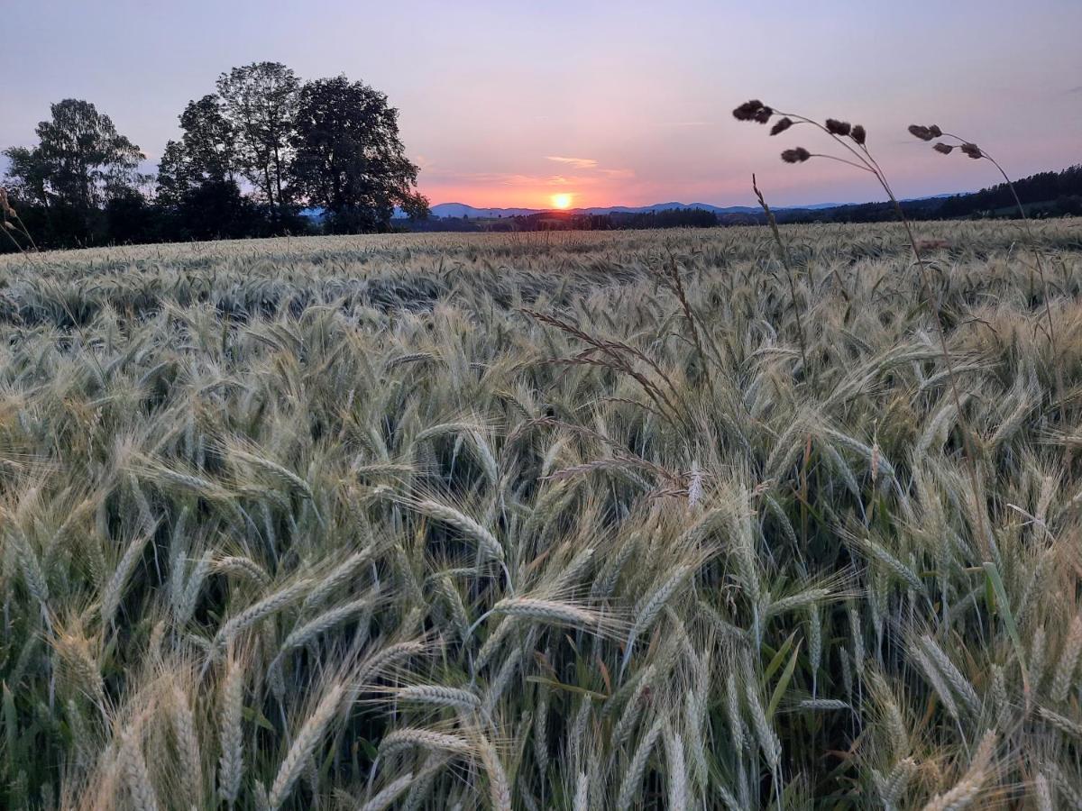 Grainmeisterhof Niederwaldkirchen Zewnętrze zdjęcie