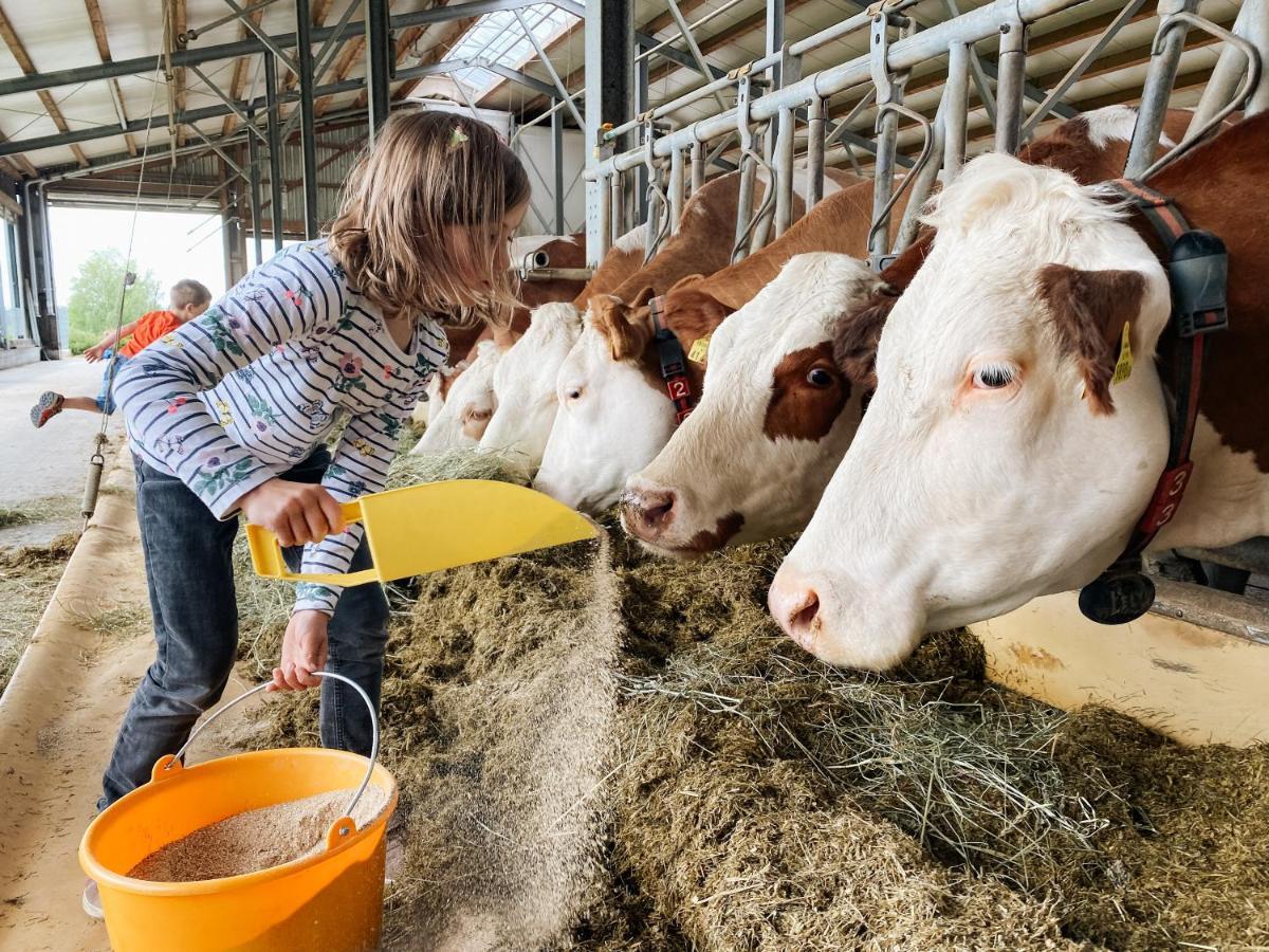 Grainmeisterhof Niederwaldkirchen Zewnętrze zdjęcie