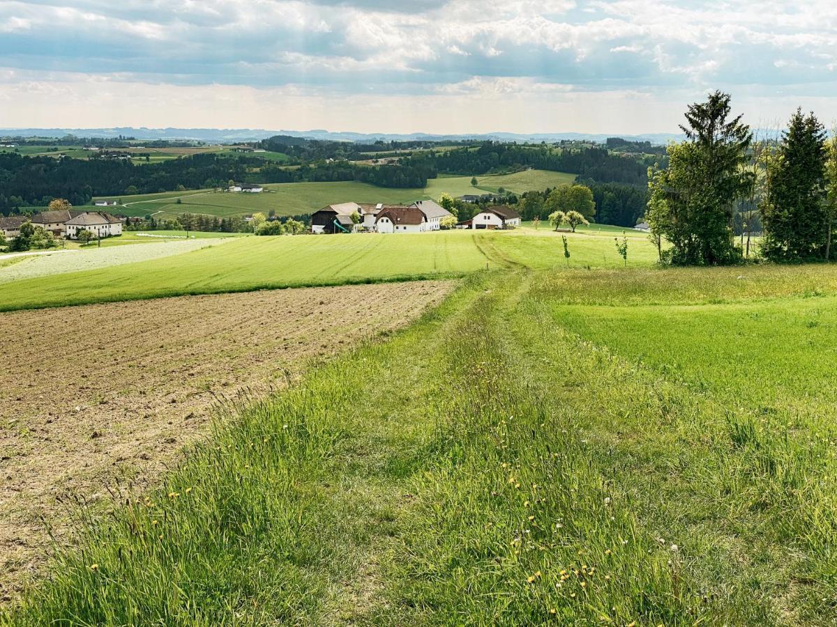 Grainmeisterhof Niederwaldkirchen Zewnętrze zdjęcie