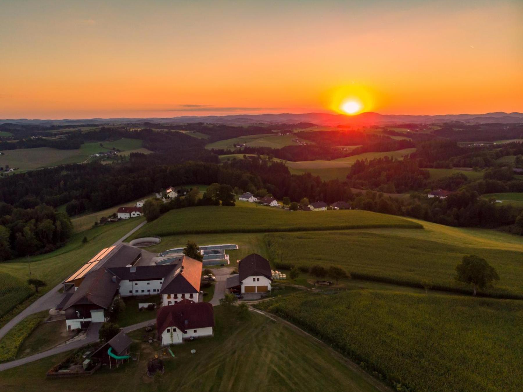 Grainmeisterhof Niederwaldkirchen Zewnętrze zdjęcie