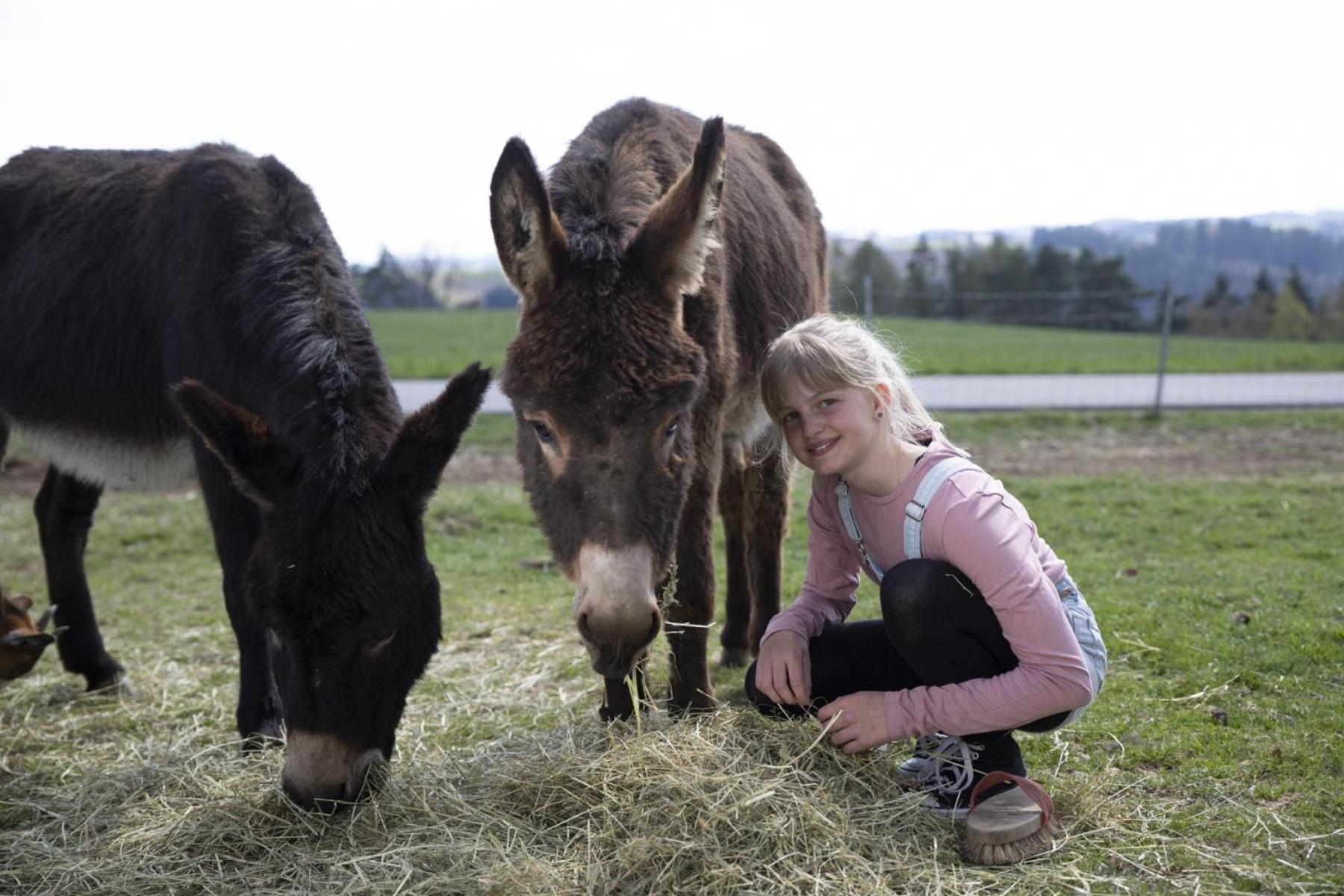 Grainmeisterhof Niederwaldkirchen Zewnętrze zdjęcie